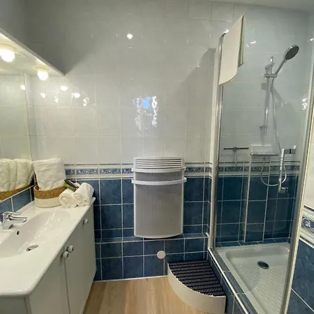 Luxueux Renove Avec Balcon & Garage Troyes