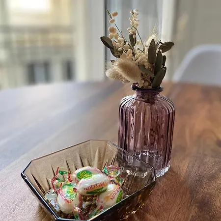 Luxueux Renove Avec Balcon & Garage アパート